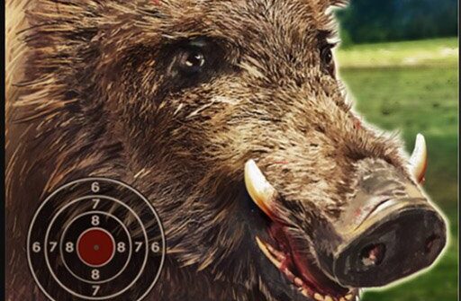 boar hunting jigsaw