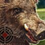 boar hunting jigsaw