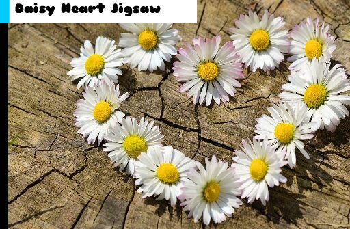 daisy heart jigsaw