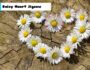 daisy heart jigsaw