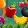 fruit cutting