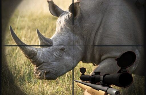 rhino hunter shooting strike