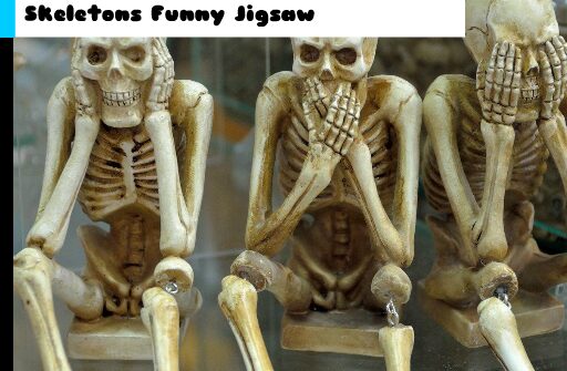 skeletons funny jigsaw