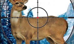 stag hunter