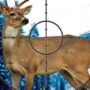 stag hunter