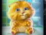 talking baby ginger