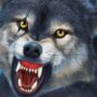 wild wolf hunter