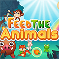 feed the animals