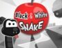 black and white snake