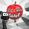 black and white snake