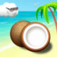 coconut beach