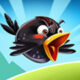 crazy birds 2