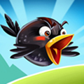 crazy birds 2