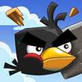 crazy birds
