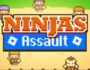 ninjas assault